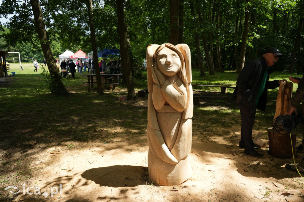 XV Plener Rzeźbiarski w Głuchowicach