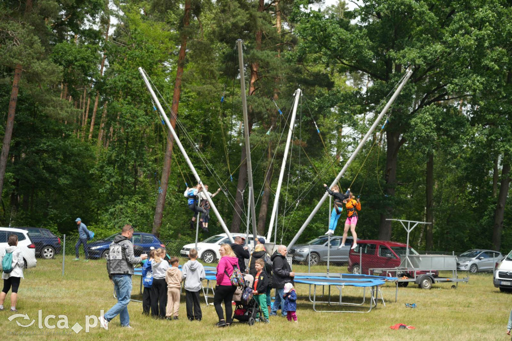 XV Plener Rzeźbiarski w Głuchowicach