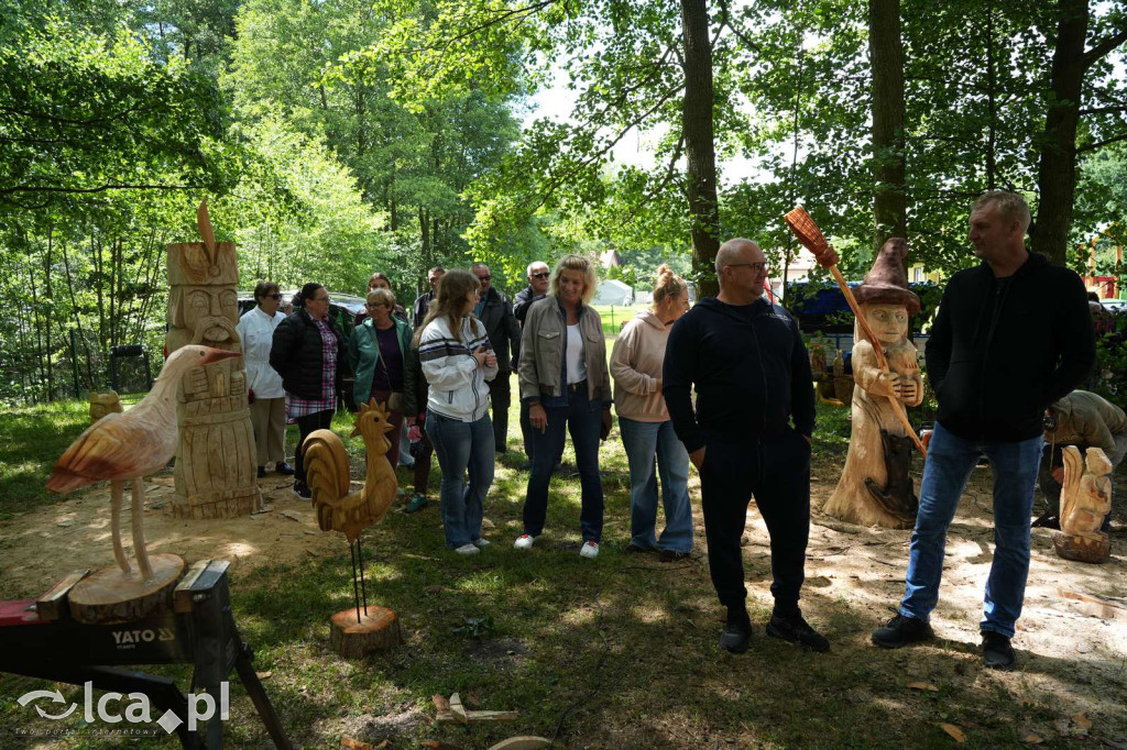 XV Plener Rzeźbiarski w Głuchowicach