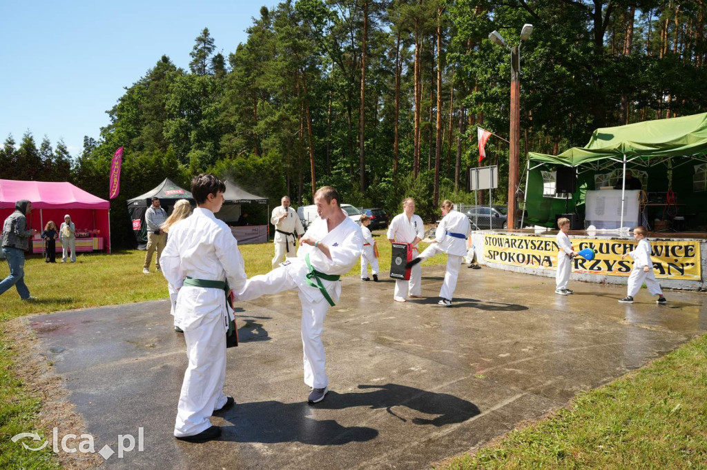 XV Plener Rzeźbiarski w Głuchowicach