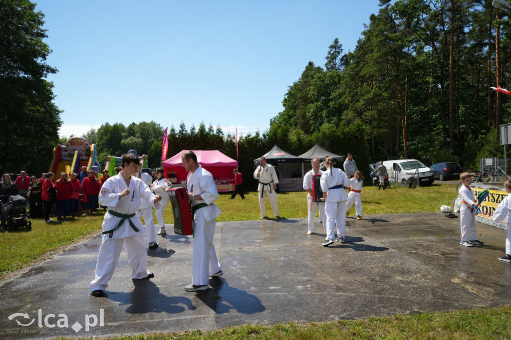 XV Plener Rzeźbiarski w Głuchowicach