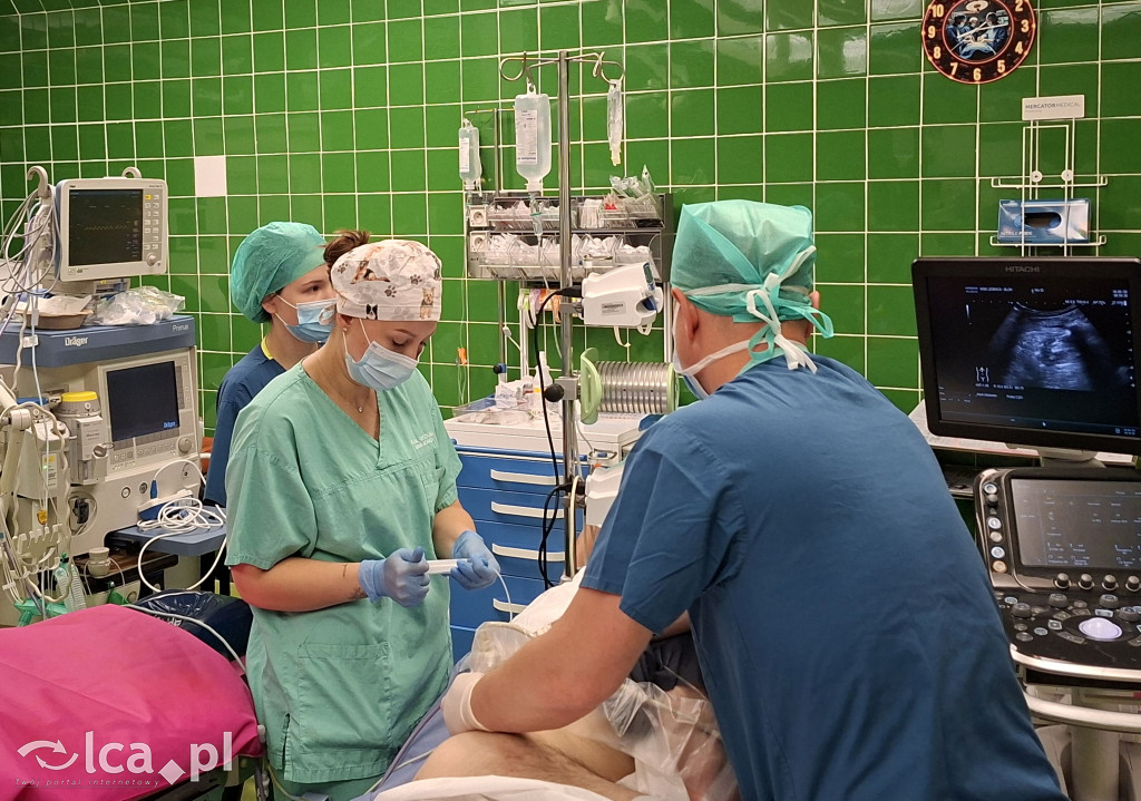 Nowy rozdział w szpitalu. Robot pomaga lekarzom
