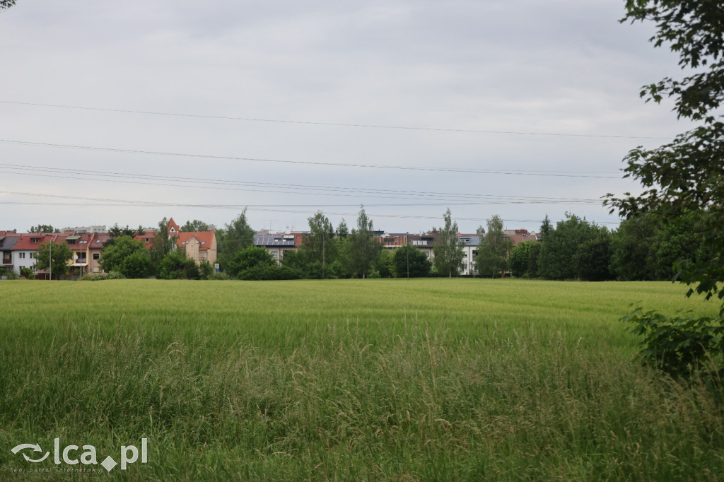 Miasto dało zgodę, potem zaczęły się schody