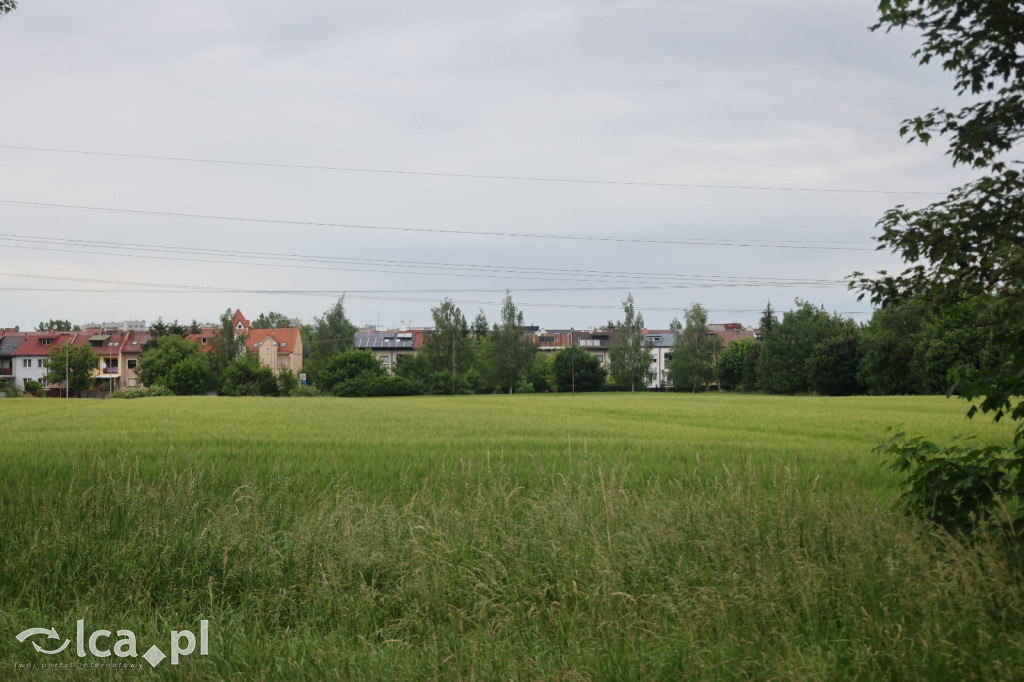 Miasto dało zgodę, potem zaczęły się schody