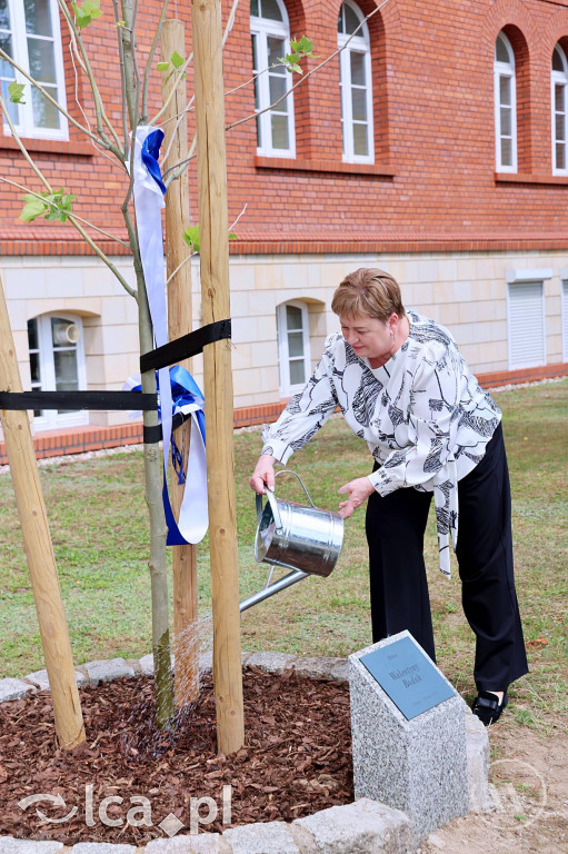 Historyczny dzień w Collegium Witelona