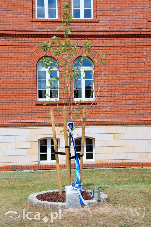 Historyczny dzień w Collegium Witelona