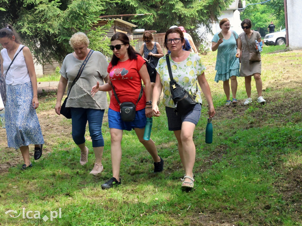 Historyczny spacer po Lasku Złotoryjskim