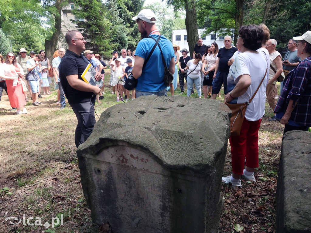 Historyczny spacer po Lasku Złotoryjskim