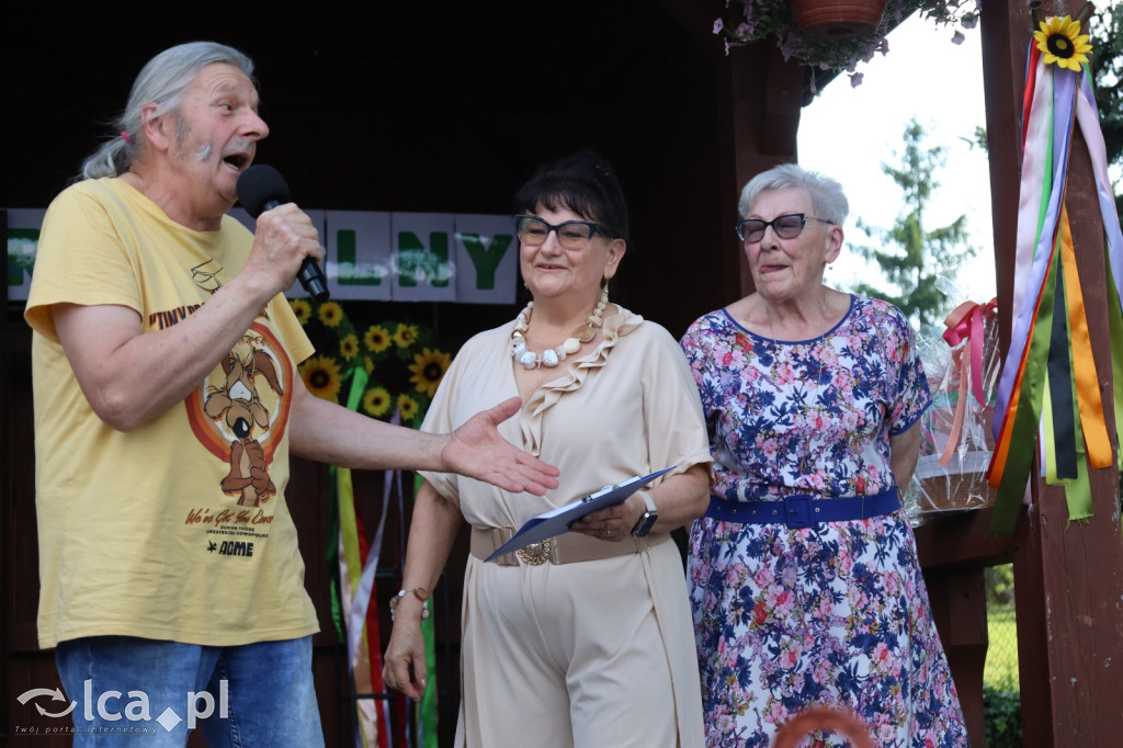 Festyn parafialny w Prochowicach