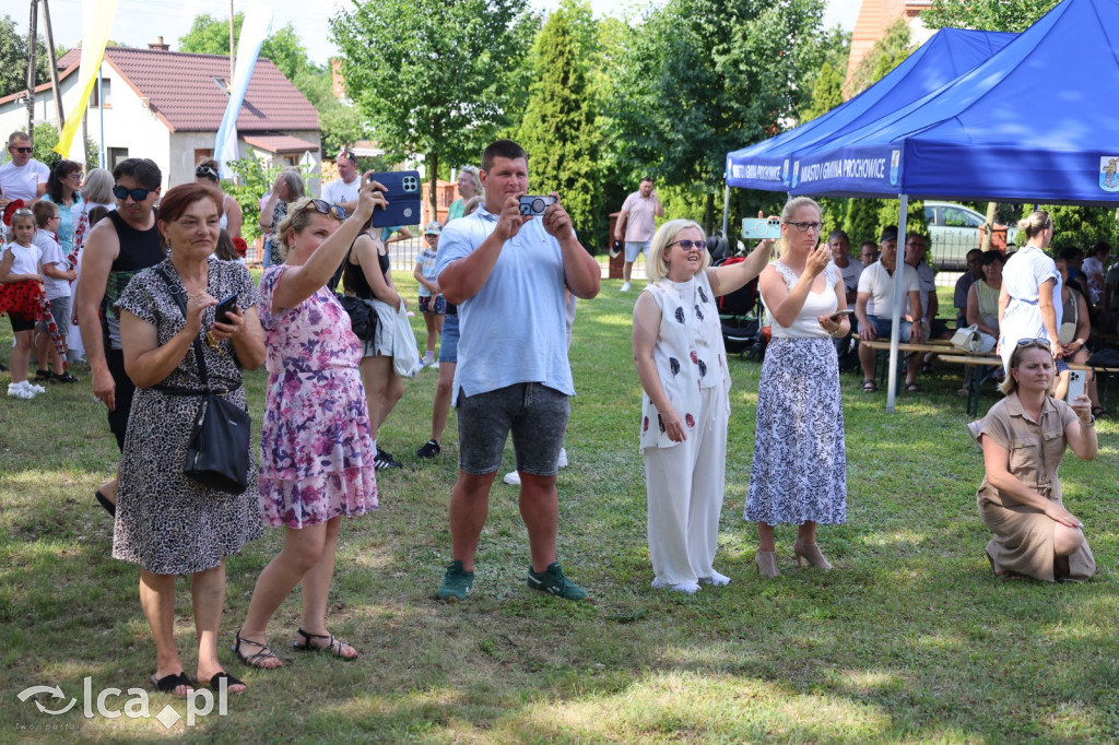 Festyn parafialny w Prochowicach