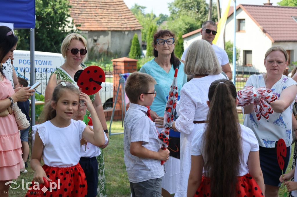 Festyn parafialny w Prochowicach
