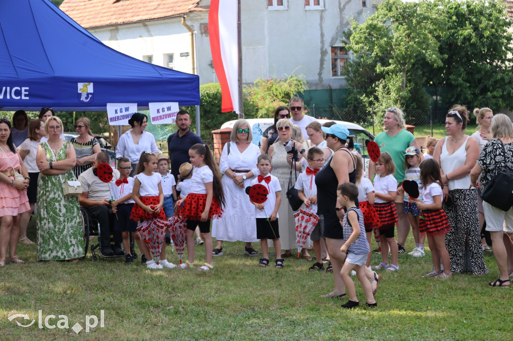 Festyn parafialny w Prochowicach