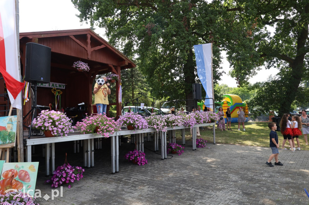 Festyn parafialny w Prochowicach