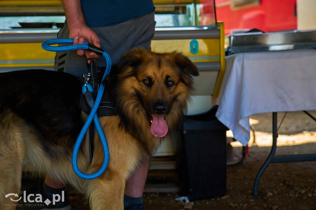 Targowisko w Bartoszowie przyciąga smakami