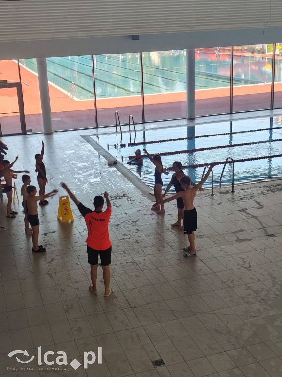 Delfinek Legnica z medalami na mistrzostwach