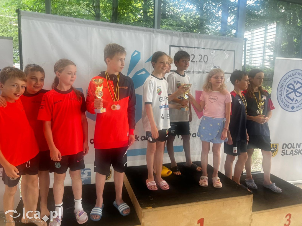 Delfinek Legnica z medalami na mistrzostwach