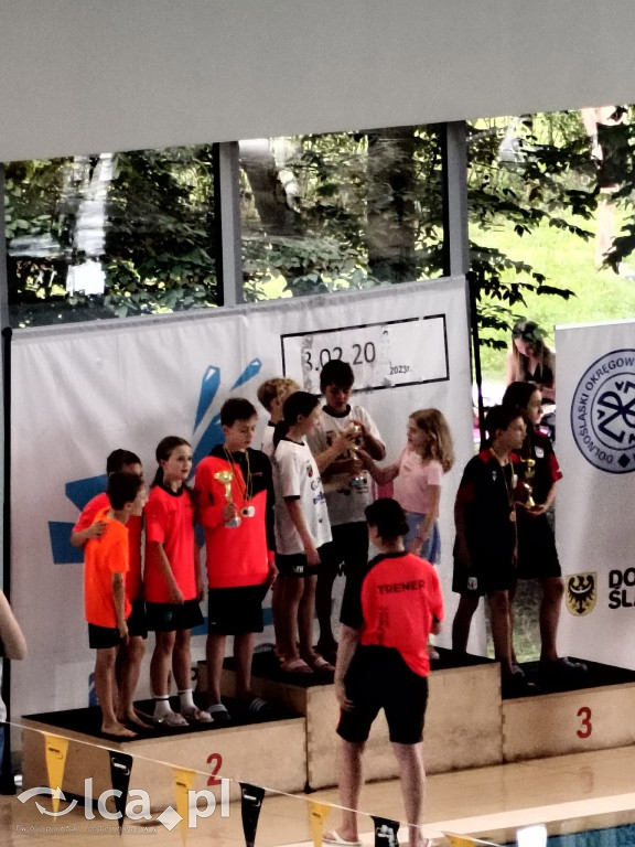 Delfinek Legnica z medalami na mistrzostwach