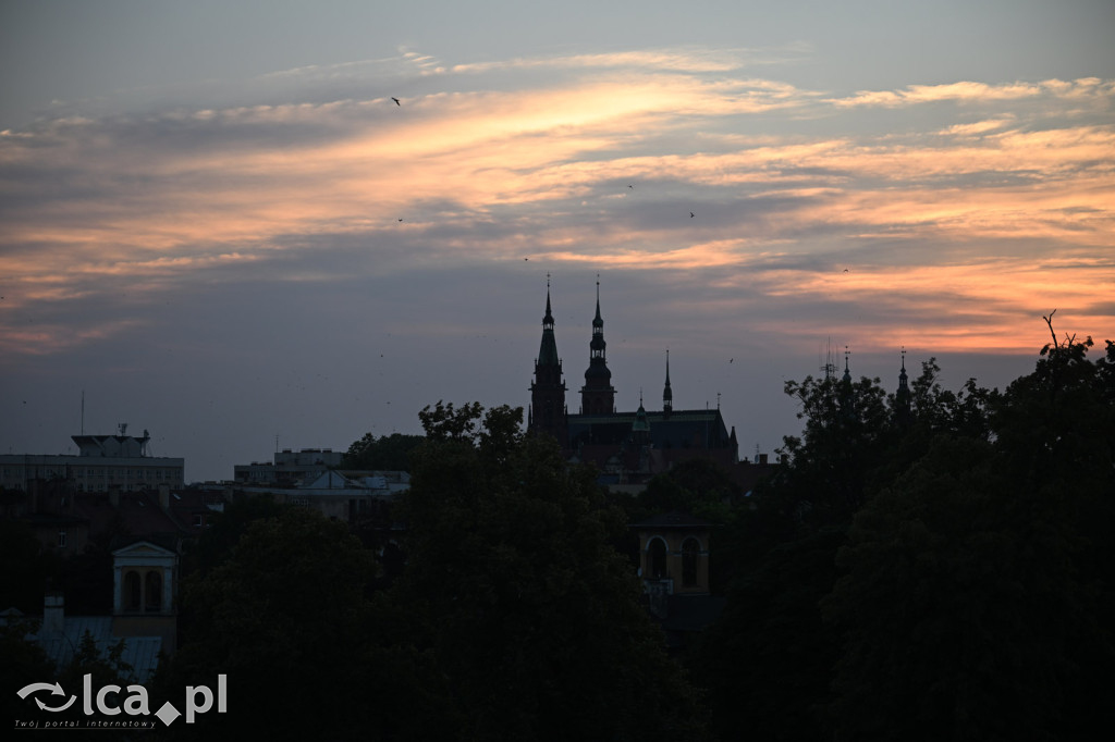 Tak wyglądała sobota na Dniach Legnicy