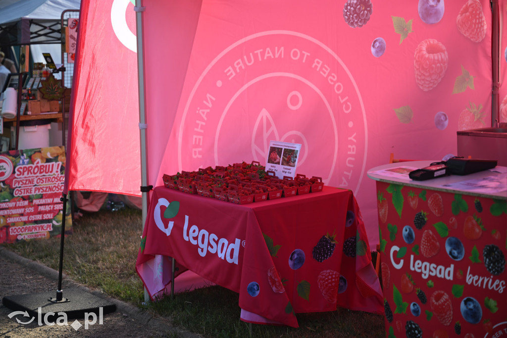 Legsad pachnie latem na Dniach Legnicy
