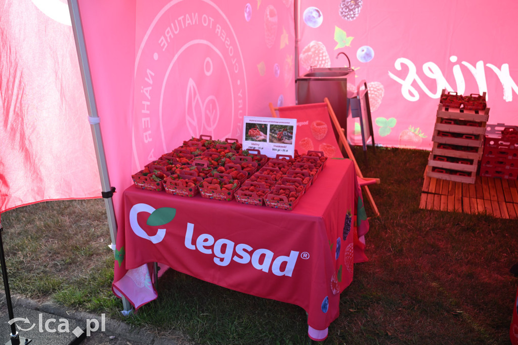 Legsad pachnie latem na Dniach Legnicy