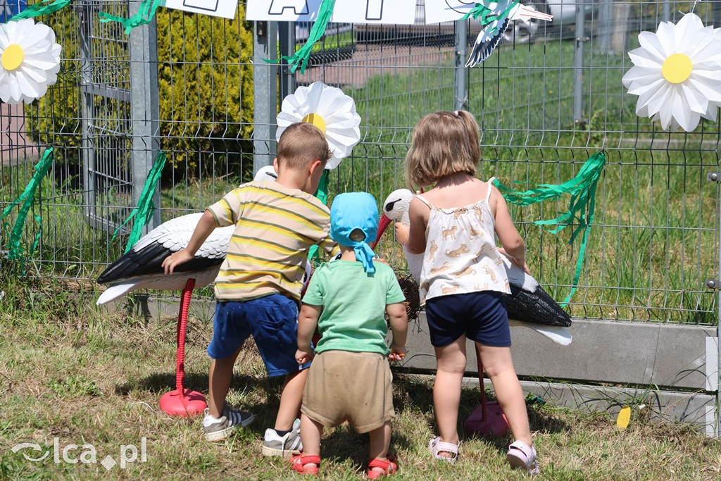 Upalne Święto Bociana w Bieniowicach