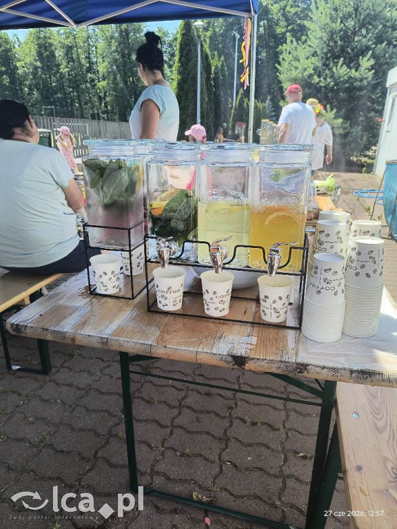 Upalne Święto Bociana w Bieniowicach