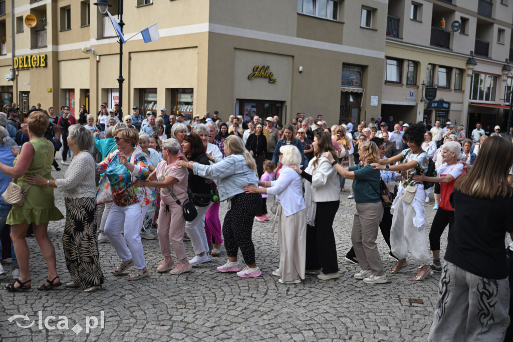 Legnicki rynek tańczył w rytmie latino