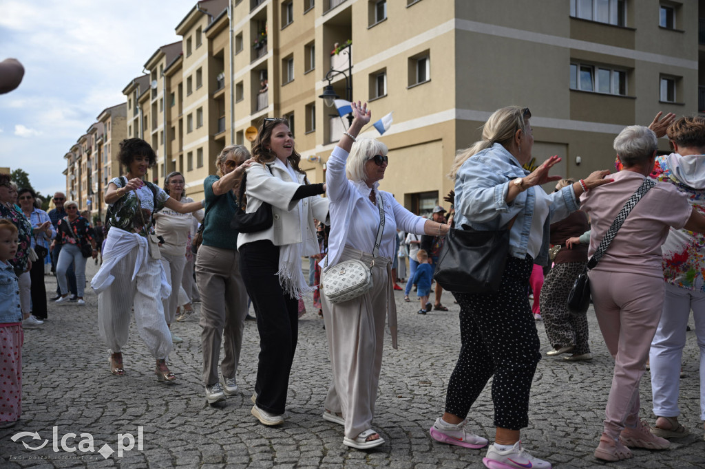 Legnicki rynek tańczył w rytmie latino