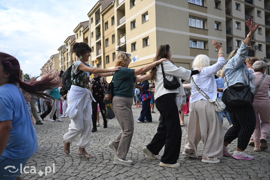 Legnicki rynek tańczył w rytmie latino