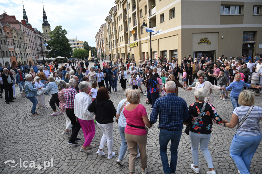 Legnicki rynek tańczył w rytmie latino