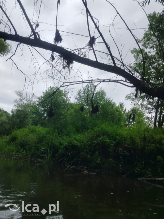 Patriotyczny spływ zakończył się sukcesem