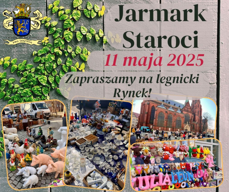 Legnicki Jarmark Staroci (mat prasowe)