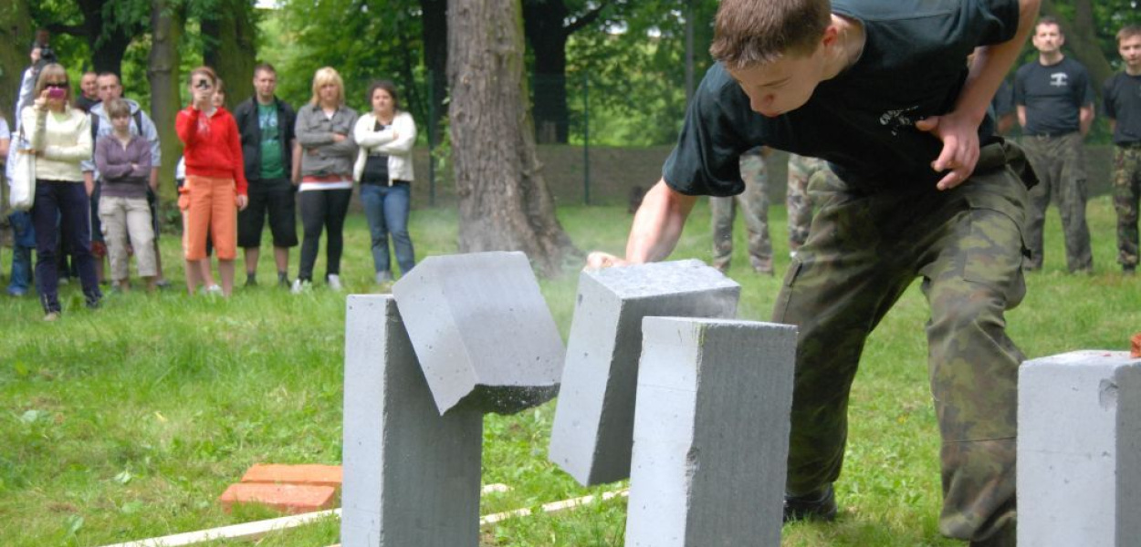 Ekonom opanował Kormorana 