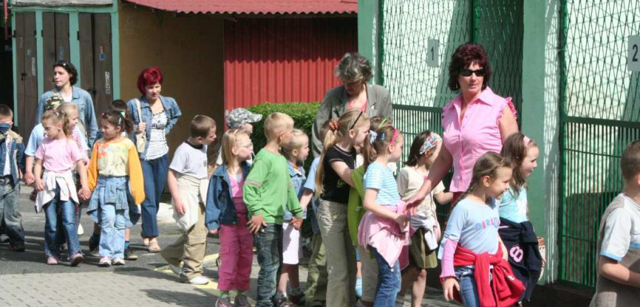 Festyn z czworonogami