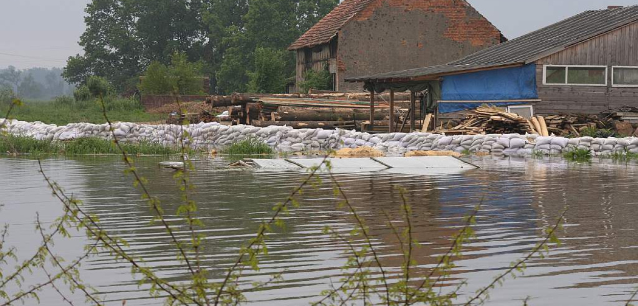 Prochowice proszą o pomoc!