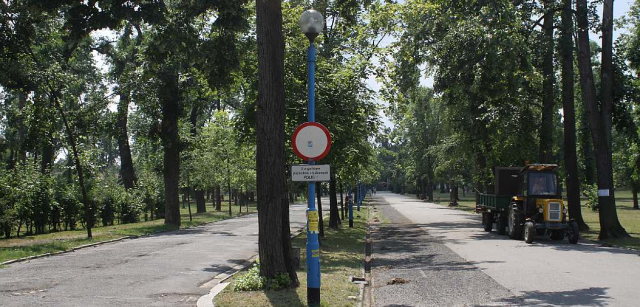 Rok temu Legnica przeżyła katastrofę