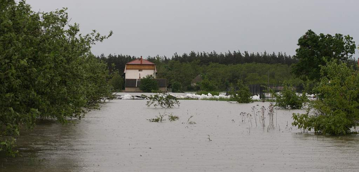 Prochowice też pomagają Bogatyni