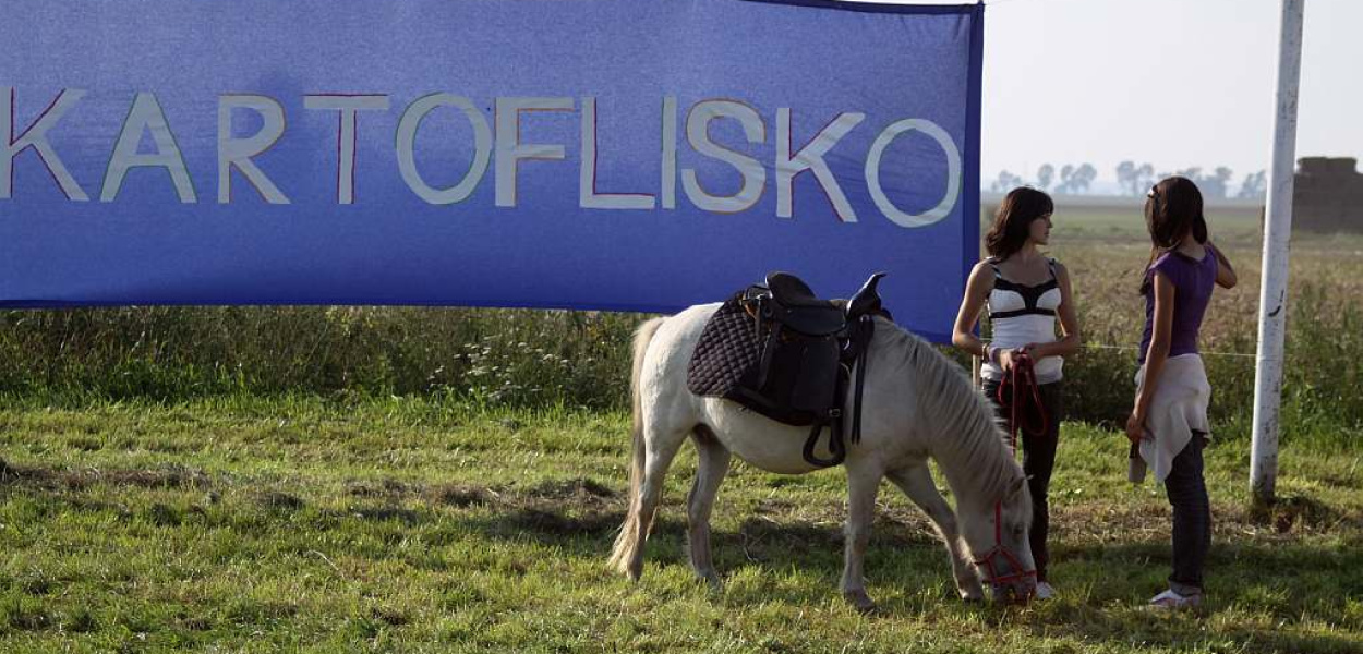 Wspaniała zabawa na „Kartoflisku”