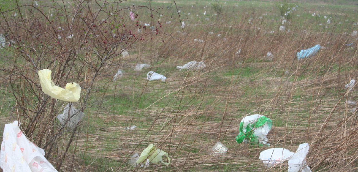 Na wysypisku walczą z foliówkami