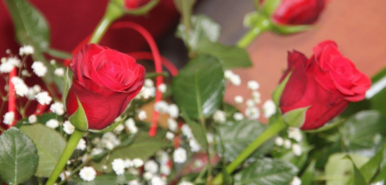 Na imieniny do Emilii i Luizy