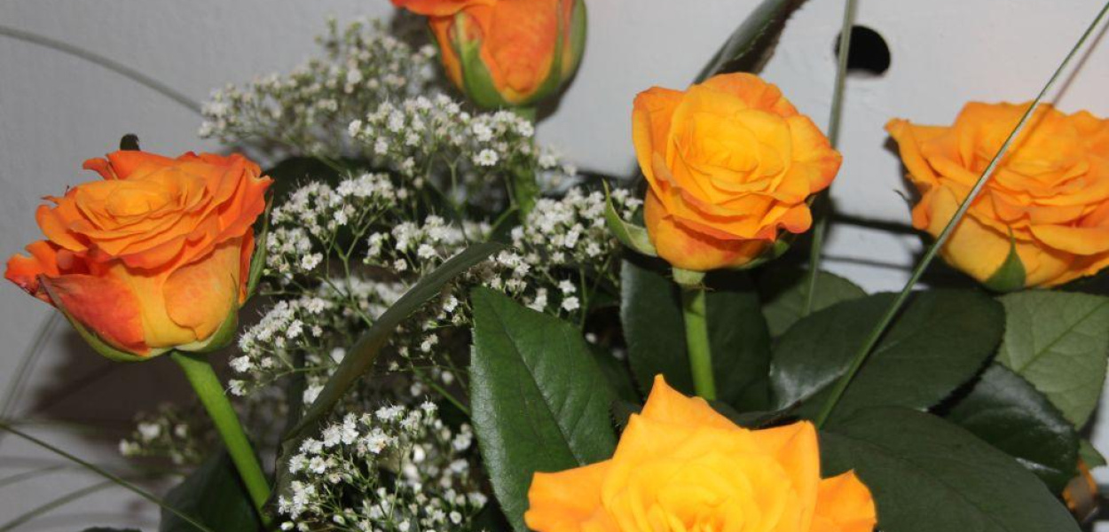 Dużo słońca w dniu imienin