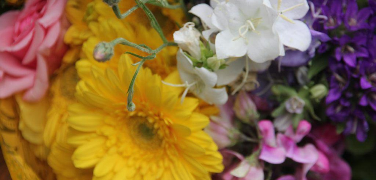 Dzisiaj imieniny Renaty