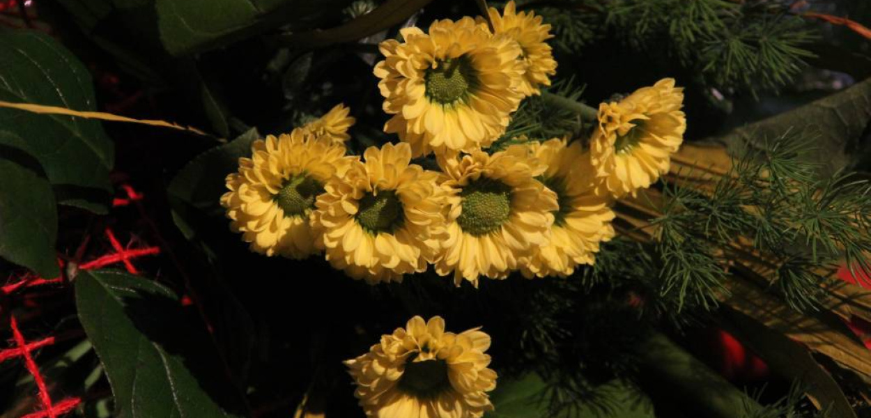 Kwiaty dla Moniki i Zuzanny