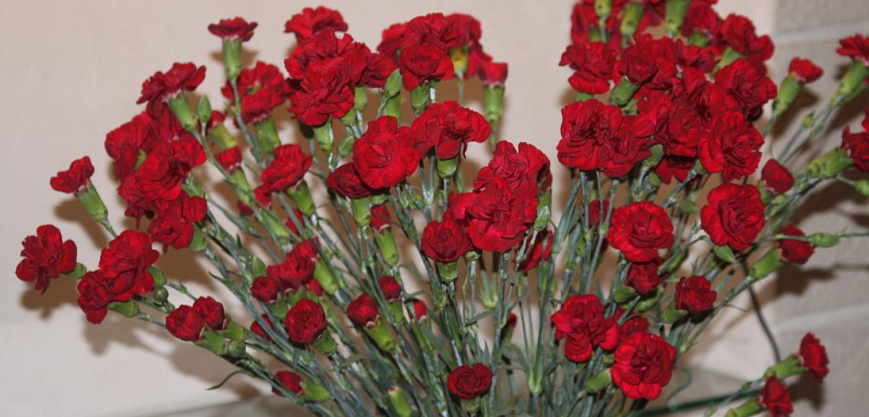 Ostatnia lutowa solenizantka