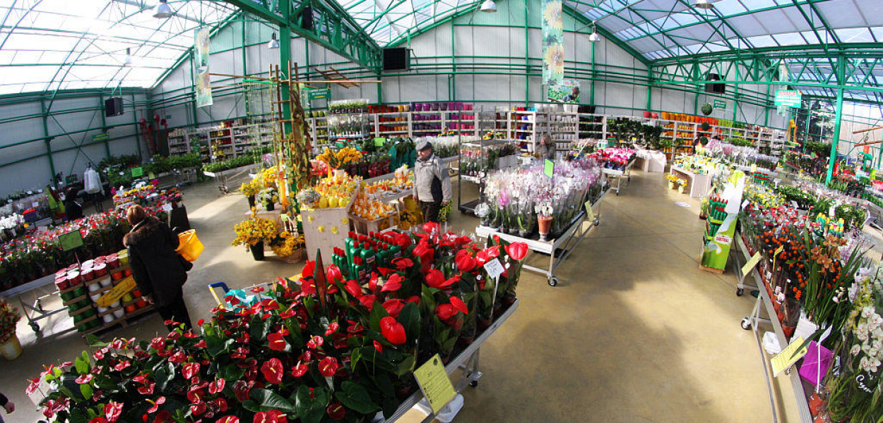 Weekend w Centrum Ogrodniczym Majewskich