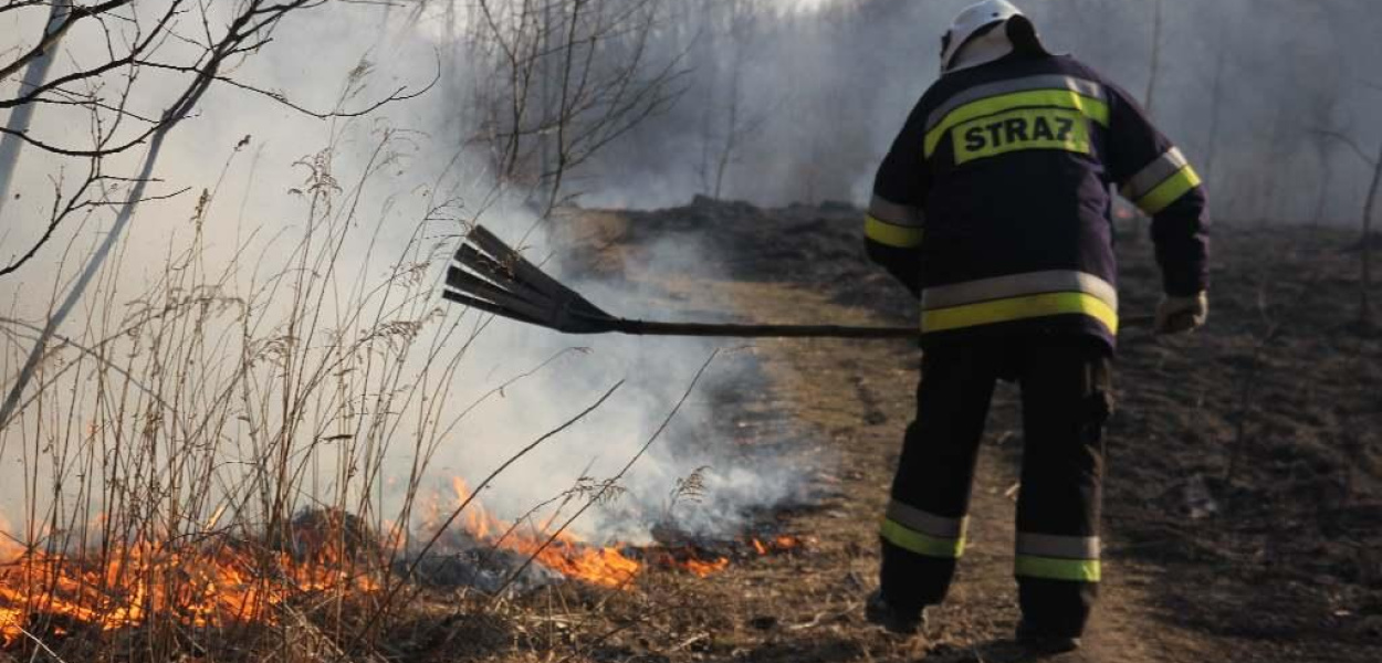 Niebezpieczny pożar traw w Lasku Złotoryjskim 