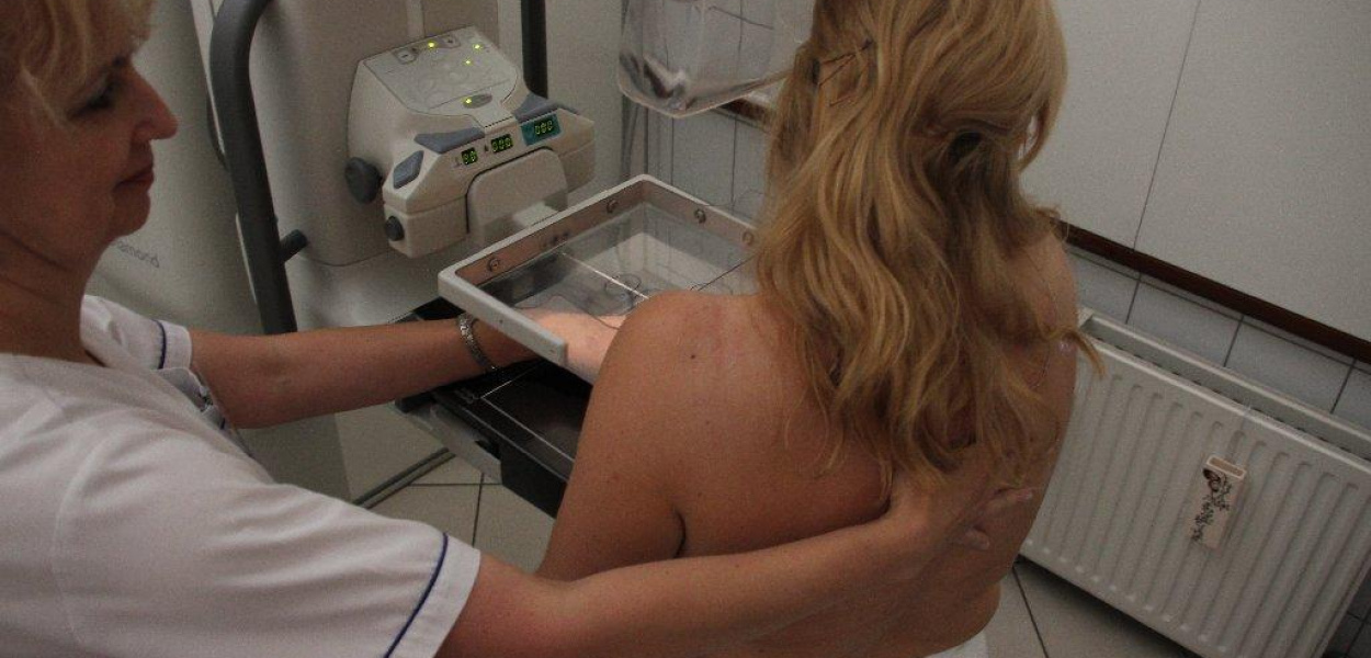 Piknik Onkologiczny już po raz jedenasty