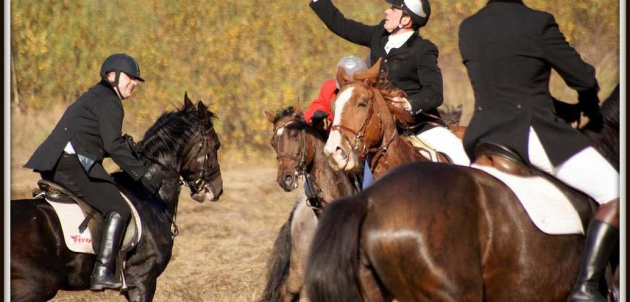 Gonili za lisem podczas Hubertusa 2012 