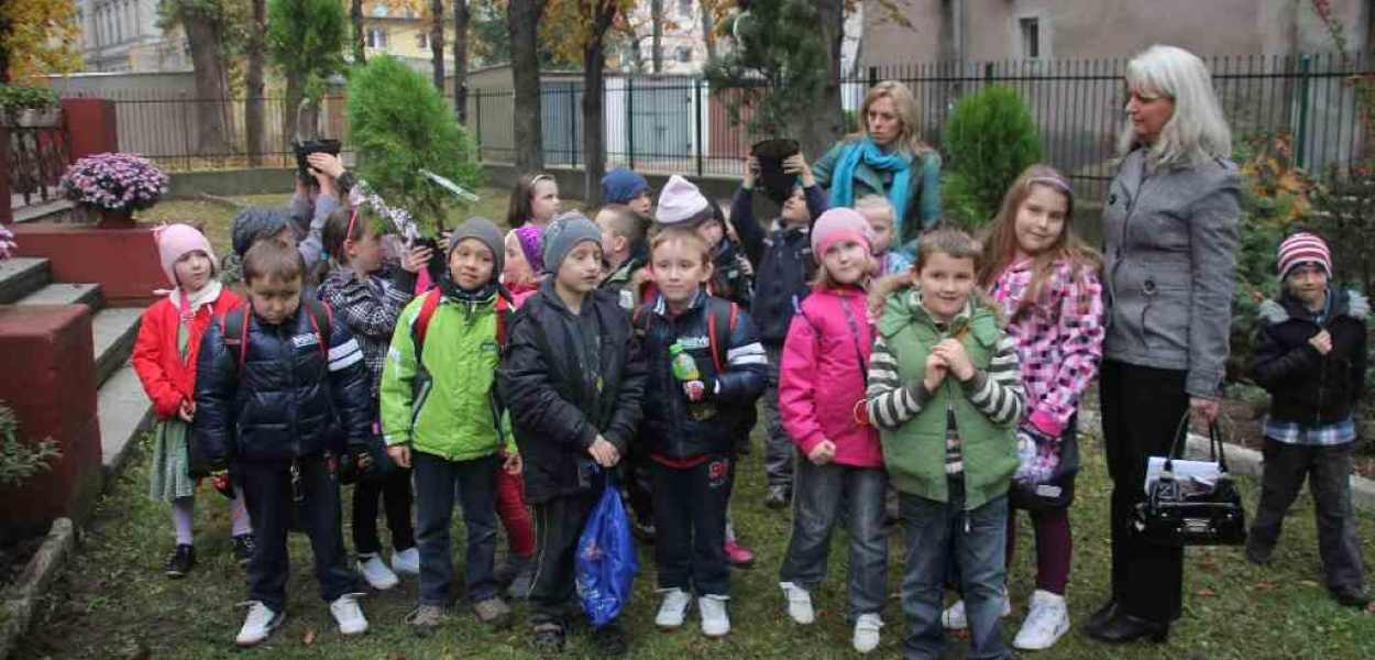MCK posadził drzewo i kilka krzewów 