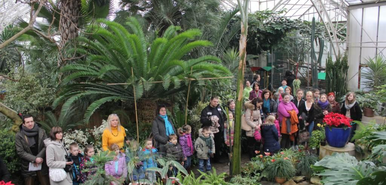 Wiosenny konkurs Wielkanoc w Palmiarni